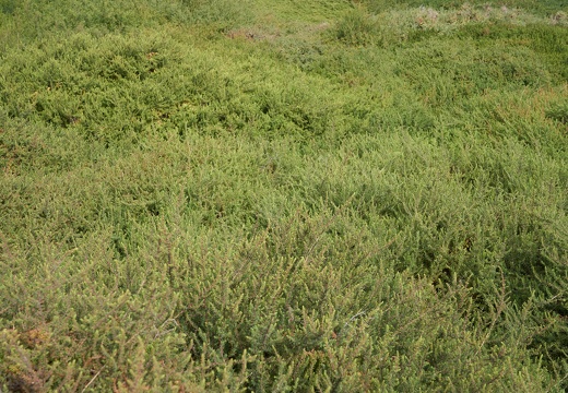 Barranco de la Torre