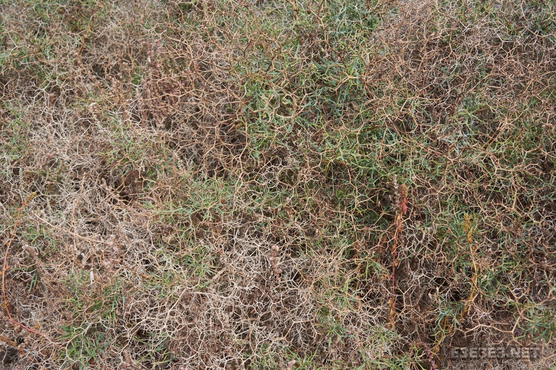 2023-02-07_009.jpg