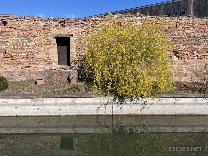 IMG_2168.jpeg